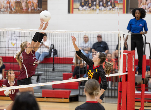 HSV_4483